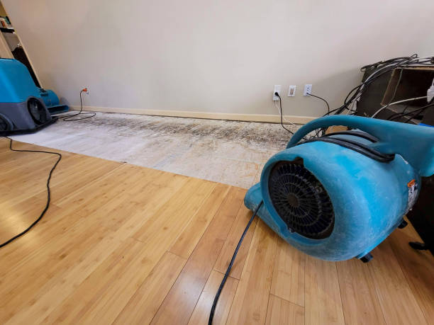 Professional Water Extraction technician working in Center Line, MI